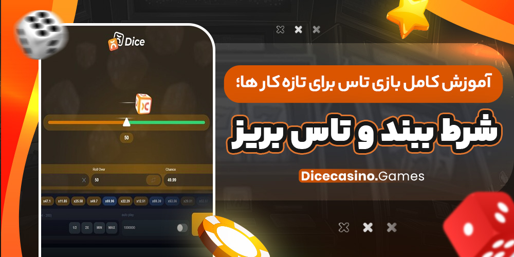 آموزش کامل بازی تاس برای تازه‌ کار ها؛ شرط ببند و تاس بریز